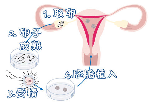关于清砚堂中医馆